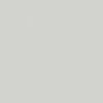 OYSTER GREY