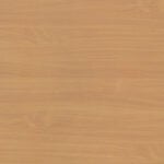 SELECT BEECH