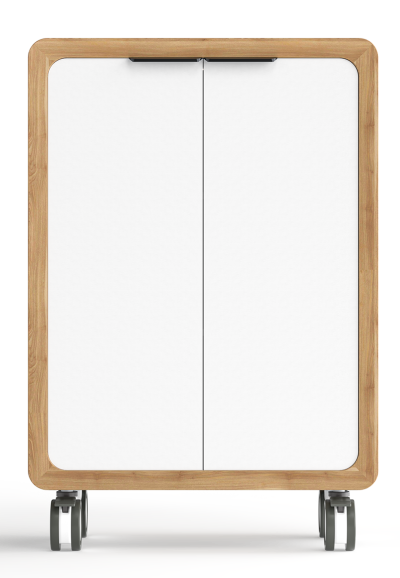 ROVER MOBILE CUPBOARD