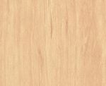 YOUNG BEECH +$200.00