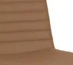 AMBER PU