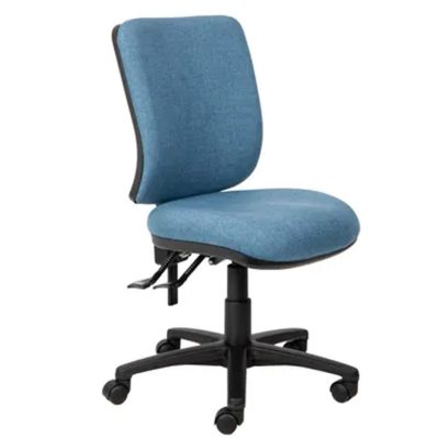 Rexa Manual High Back Task Chair