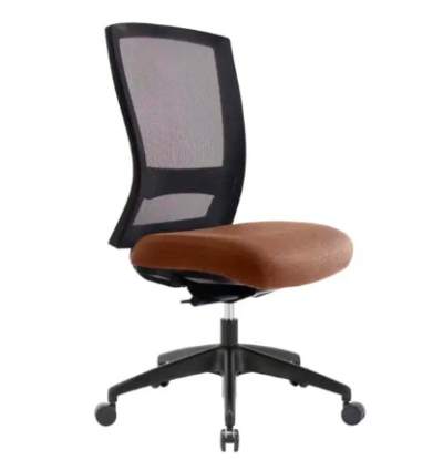 Mentor Mesh Ergnomic Chair – SafeTex